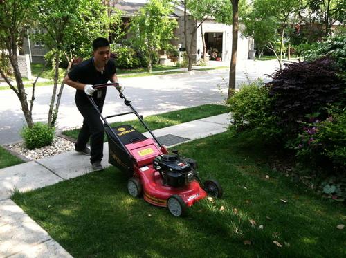 工廠、商務大樓、工業園區、私人企業、電影院、銀行、政府機關、學校、酒店娛樂場所等綠化養護