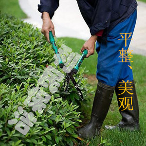 江陰保潔公司 江陰保潔服務(wù) 江陰綠化養(yǎng)護(hù) 江陰保潔公司 江陰保潔服務(wù) 江陰綠化養(yǎng)護(hù)