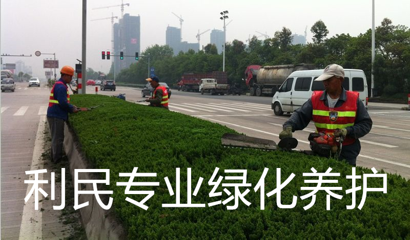 綠化養(yǎng)護(hù) 綠化養(yǎng)護(hù)