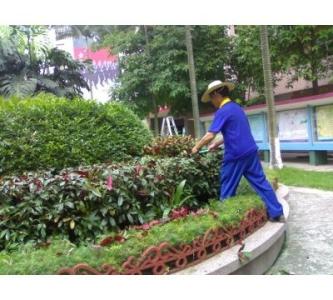 綠化養護 綠化養護